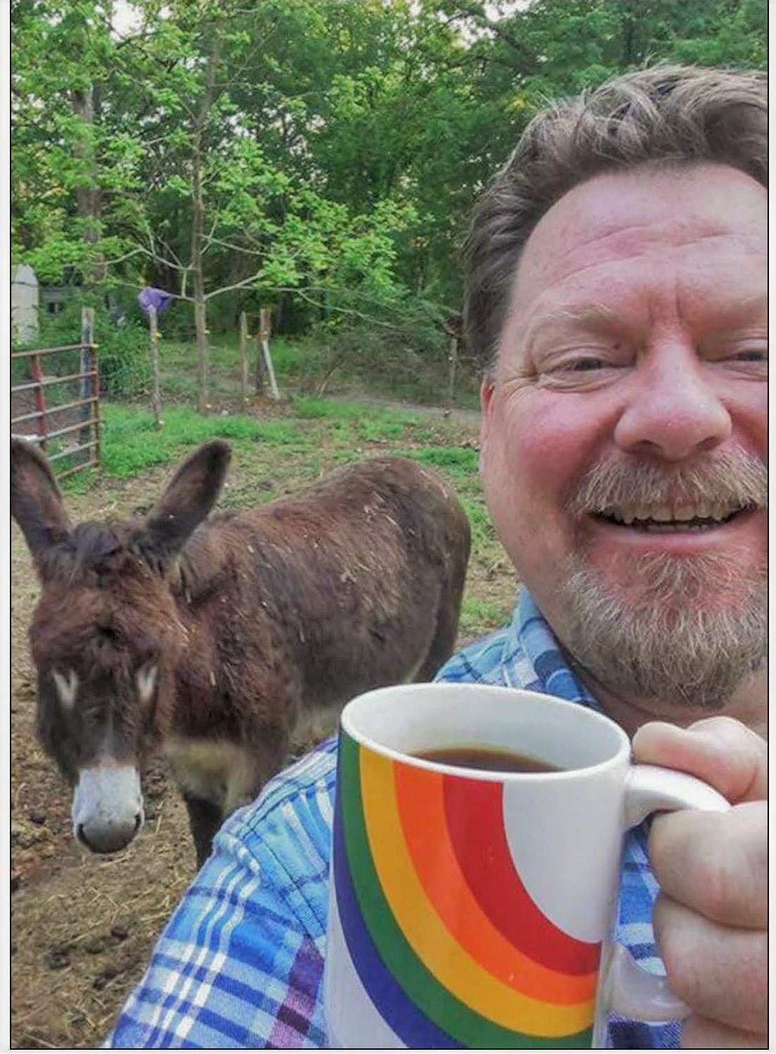 Me Coffee Donkey 4