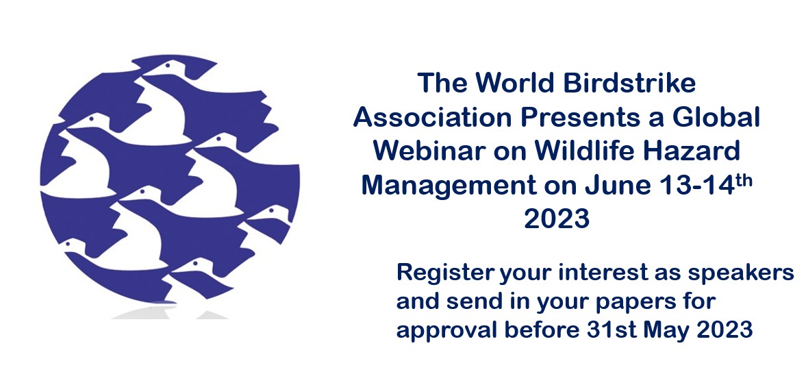WBA Jun webinar