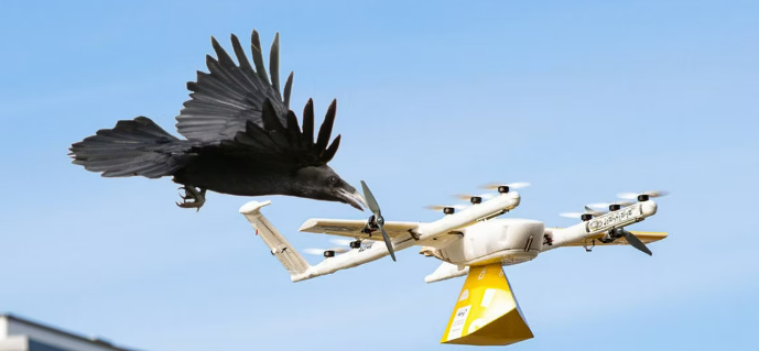 Drones and Birds Coexistence