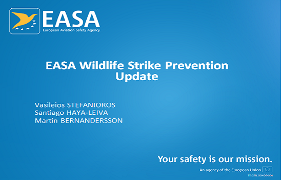 EASA Wildlife Strike Prevention Update